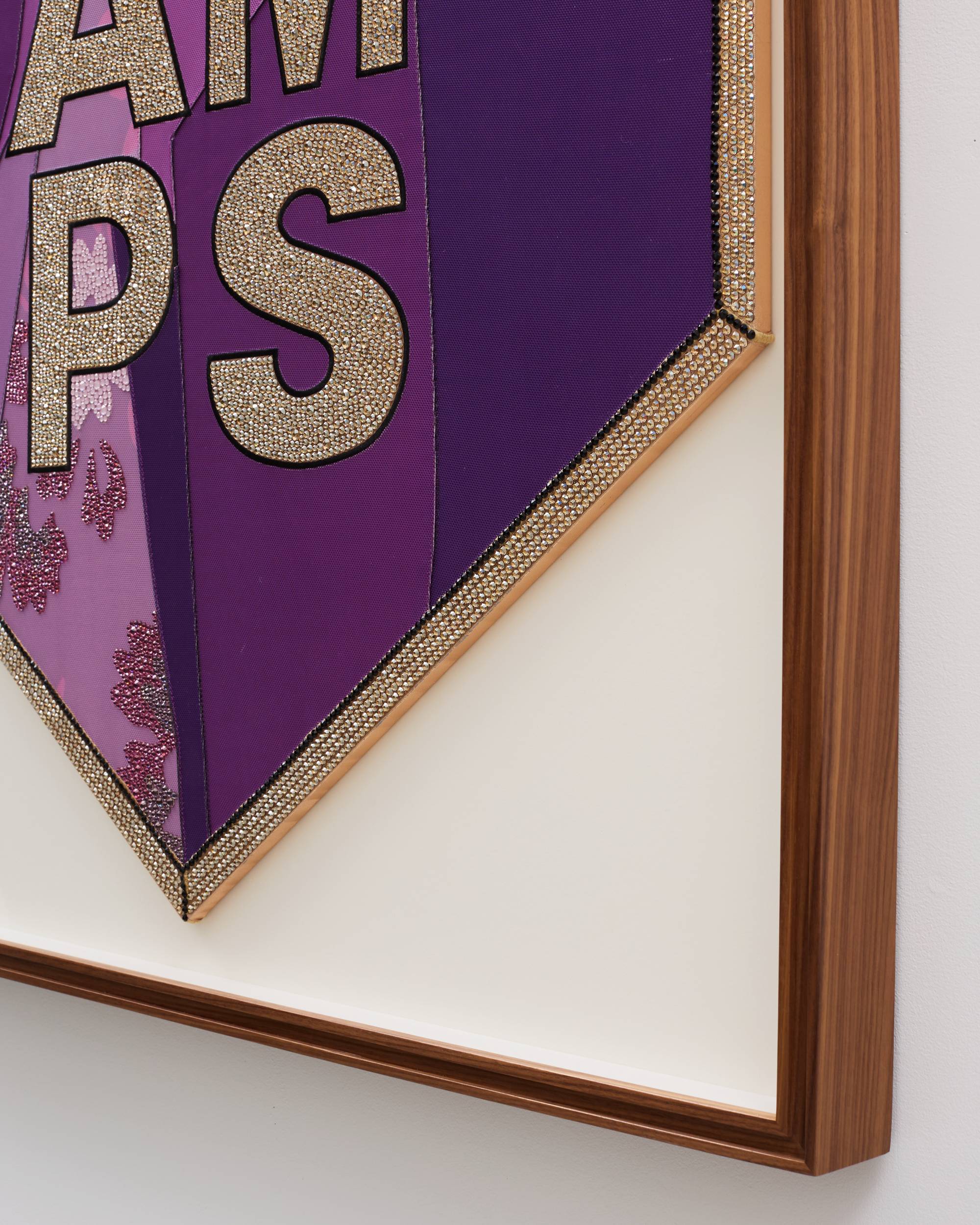CHAMPIONSHIP BANNER